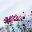 너를 만나다 이미지