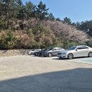 부산골프칼리지