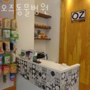 Dr. 오즈 동물병원 | 성남 서현동 동물병원 Dr 오즈동물병원 진료시간 접근성 이용후기