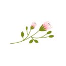도원칼국수 이미지
