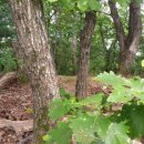 원동2리 마을회관 이미지