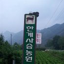 한계사슴농원 이미지