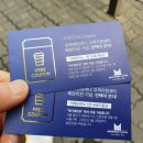 듀세이 이미지