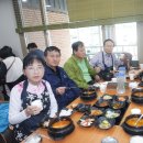 수물류 Daum카페