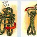 자일