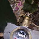 하얀기쁨운동화세탁 이미지