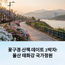 꽃구경·산책·데이트 3박자! 울산 태화강 국가정원으로 떠나는 감성 하루
