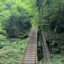생애 첫 나홀로 한라산 등반_1부 _관음사코스 출발-성판악 하산+ 등정인증서발급