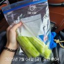 글래스메이트안경 | [7월 상하이여행] DAY1 한달만에 상하이 2번간 사람 일기(헤이티 복숭아맛,홍지에라오훠궈,티엔즈팡...