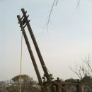 수원-1836 이미지