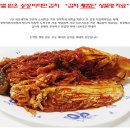 비타민김치 Daum카페