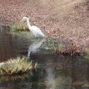 상동시민의강 이미지