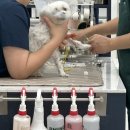 정메디칼 이미지