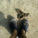 뽑기의 달인 이미지