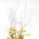 라로즈스쿨 이미지