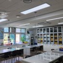 와룡초등학교 이미지