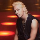 더태양 이미지