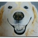 냥이멍이네 이미지