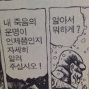 메가톤 - 부평구 | 메가톤