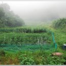 구름농장 이미지