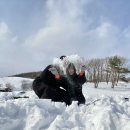 기정목장 이미지