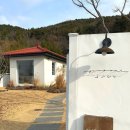 수나로이 이미지