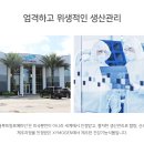 메디루트 이미지