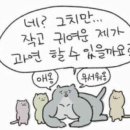 떼구루루 이미지