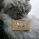 와와유통 이미지