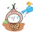 테헤란인터내셔널 이미지