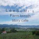 이수미팜베리 이미지