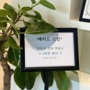 경산제일농약사 | 경산 피부관리 ‘메이드스킨’ :: 문제성 피부를 위한 맞춤형 케어