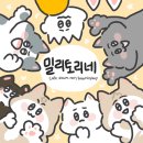 유튜버 haha ha 채널에 간만에 찾아온 '뚱땅'고양이.gif 이미지