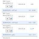 M단백 수치 조언 및 각종수치 판독 부탁드립니다. 이미지