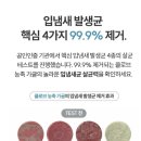 Brush | Re:brush 리브러쉬 농축 가글액 구매 사용후기