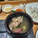 창평한우암소집