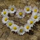 미소래병원 | 연로하신 부모님 계시다면 덕양구 추천 요양원 미소래요양원 가족 같은 따뜻함