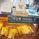 파주 프로방스마을 한가한 가족나들이 후기(류재은베이커리, 카페 쿠쿠오나)