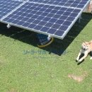 나라 태양광발전소 이미지