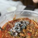 가진항물회 | 고성 물회 맛집 가진항 3호 강릉횟집