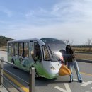 충남 서산 여행 가볼만한곳 포토존이 넘치는 버드랜드