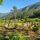 보현산자연휴양림 이미지