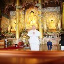 보리수하 이미지