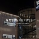 리암요양병원 Daum카페