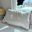 한울세탁나라 | 외국인친구선물 특별한 한복베개커버 너무 괜찮은데요~