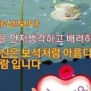 세기냉열 이미지