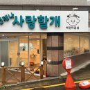 언제나 사랑할개 이미지