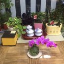 캘리그라피 붓펜반 이미지