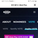 2022 MAMA YOGIBO VOTE 이미지