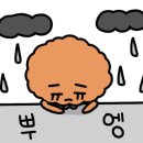 LA돈까스 이미지